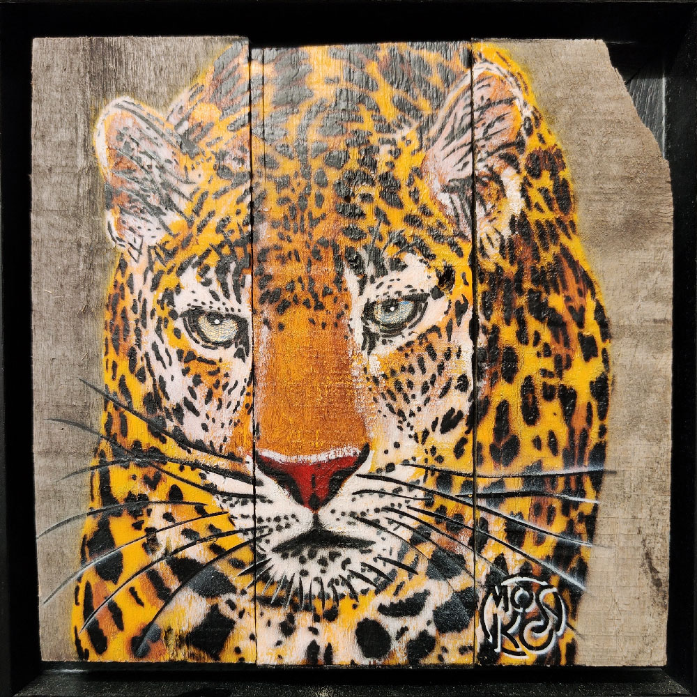 Lopard aux yeux dors, 2023