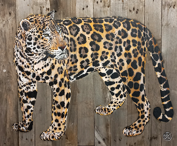 Jaguar profil tête à gauche